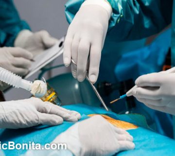 بهترین دکتر ابدومینوپلاستی در اصفهان